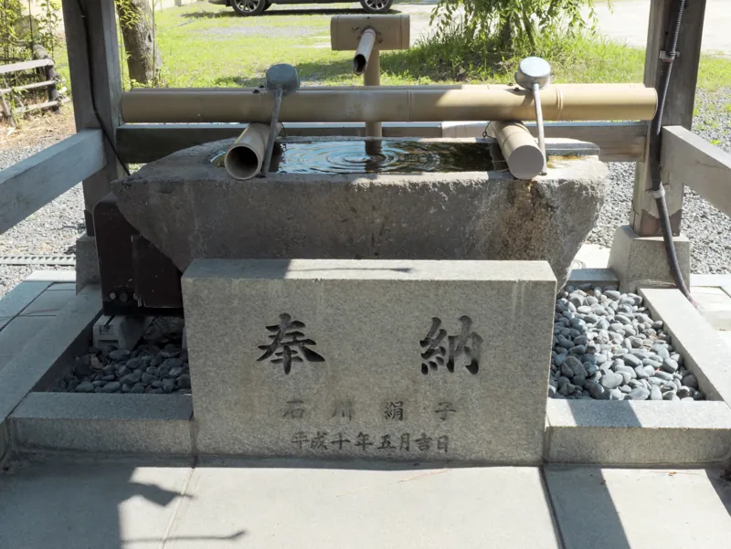 The purification basin
